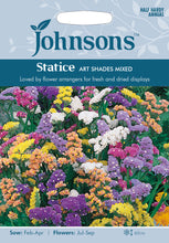 Load image into Gallery viewer, Statice Art Shades Mixed
