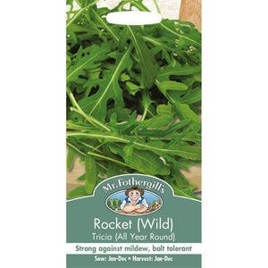 Rocket (Wild) Tricia