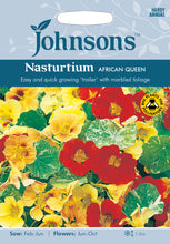 Load image into Gallery viewer, Nasturtium African Queen
