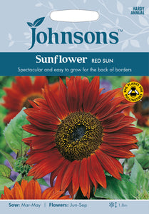 Sunflower Red Sun