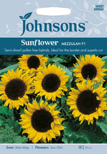 Load image into Gallery viewer, Sunflower Mezzulah F1
