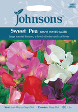 Load image into Gallery viewer, Sweet Pea Giant Waved Mixed
