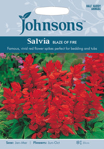 Salvia Blaze Of Fire