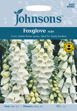 Load image into Gallery viewer, Foxglove Alba
