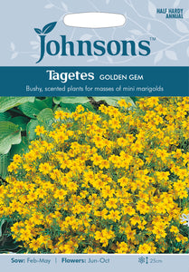 Tagetes Golden Gem