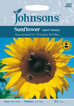 Load image into Gallery viewer, Sunflower Giant Single
