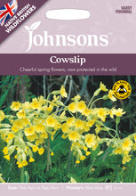 Load image into Gallery viewer, Cowslip
