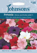 Load image into Gallery viewer, Petunia Special Multiflora Mixed F1
