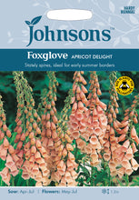 Load image into Gallery viewer, Foxglove Apricot Delight
