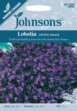 Load image into Gallery viewer, Lobelia Crystal Palace
