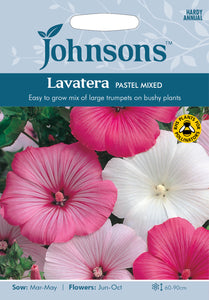 Lavatera Pastel Mixed