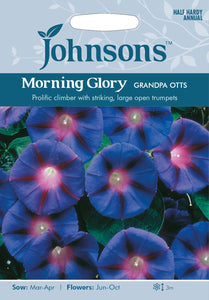 Morning Glory Grandpa Otts