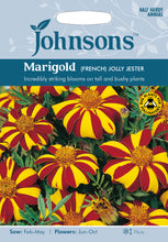 Load image into Gallery viewer, Marigold (French) Jolly Jester
