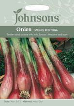 Load image into Gallery viewer, Onion (Spring) Red Toga
