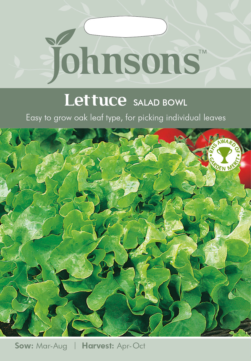 Lettuce Salad Bowl