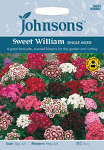 Load image into Gallery viewer, Sweet William Single Mixed
