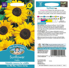 Load image into Gallery viewer, Sunflower Hallo
