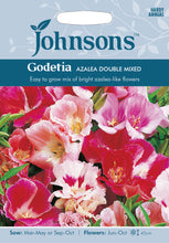 Load image into Gallery viewer, Godetia Azalea Double Mixed
