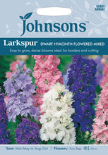 Load image into Gallery viewer, Larkspur Dwarf Hyacinth Flowered Mixed
