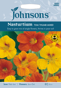 Nasturtium Tom Thumb Mixed