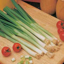 Load image into Gallery viewer, Onion (Spring) Long White Ishikura
