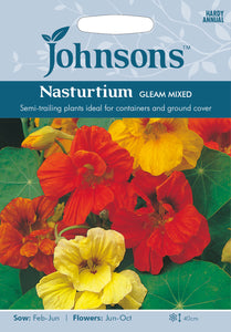 Nasturtium Gleam Mixed