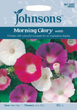 Load image into Gallery viewer, Morning Glory Mixed
