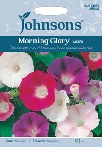 Morning Glory Mixed