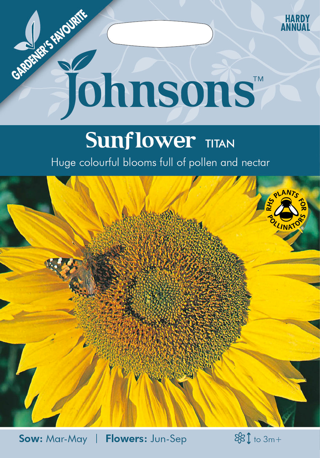 Sunflower Titan