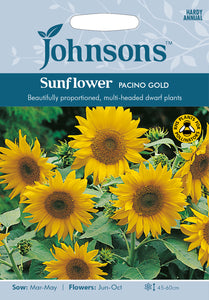 Sunflower Pacino Gold