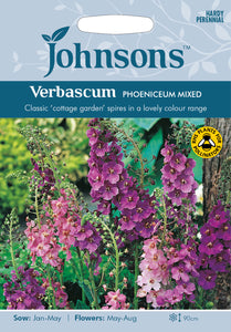 Verbascum Phoeniceum Mixed