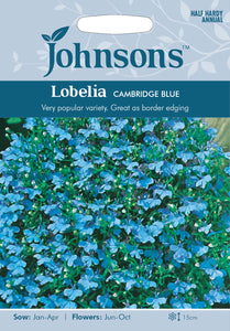 Lobelia Cambridge Blue