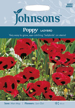 Load image into Gallery viewer, Poppy Ladybird
