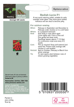Load image into Gallery viewer, Radish Lucia F1
