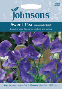 Sweet Pea Mammoth Blue