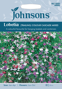 Lobelia (Trailing) Colour Cascade Mixed