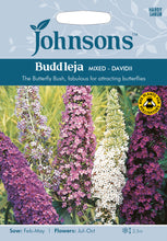 Load image into Gallery viewer, Buddleja Davidii Mixed
