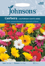 Load image into Gallery viewer, Gerbera Californian Giants Mixed
