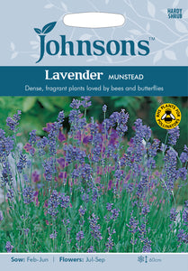 Lavender Munstead