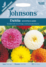 Load image into Gallery viewer, Dahlia Showpiece Mixed
