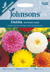 Dahlia Showpiece Mixed