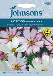 Cosmos Peppermint Rock