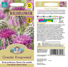 Load image into Gallery viewer, Wf Greater Knapweed
