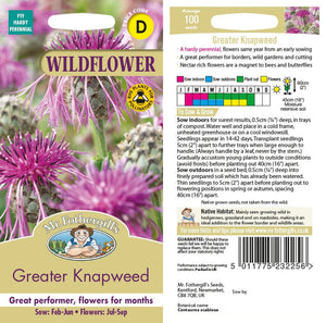 Wf Greater Knapweed