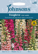 Load image into Gallery viewer, Foxglove Foxy Mixed
