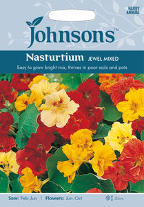 Nasturtium Jewel Mixed