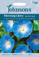 Load image into Gallery viewer, Morning Glory Heavenly Blue
