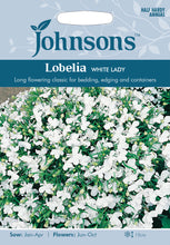 Load image into Gallery viewer, Lobelia White Lady
