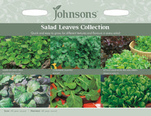 Load image into Gallery viewer, Salad Leaves Collection
