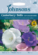 Load image into Gallery viewer, Canterbury Bells Cup &amp; Saucer Mixed
